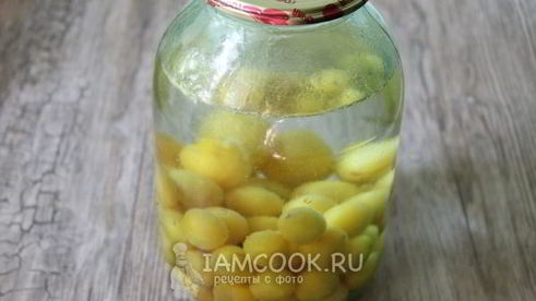 компот из алычи на зиму