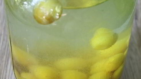 компот из алычи на зиму