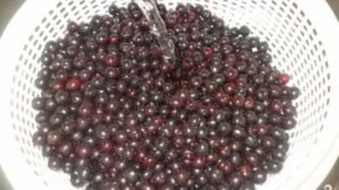 компот из черемухи