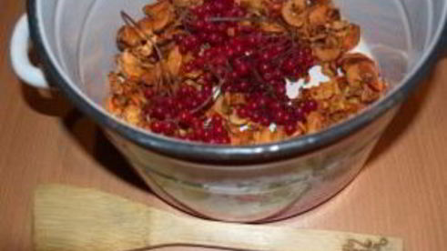 компот из калины и яблок