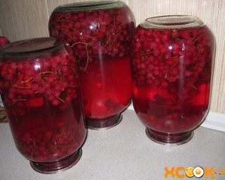 Компот из красной смородины на зиму