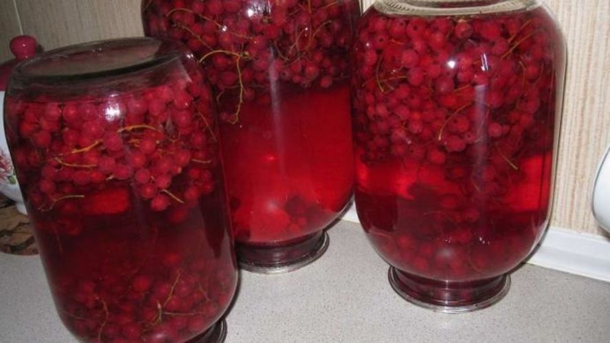 Рецепт компота из красной смородины на зиму