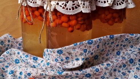 компот из облепихи на зиму