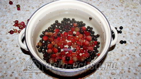 компот из смородины и крыжовника