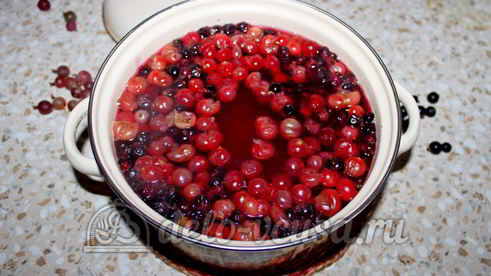 компот из смородины и крыжовника