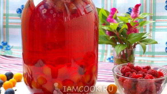 Рецепт Компота из терна, алычи и малины на зиму