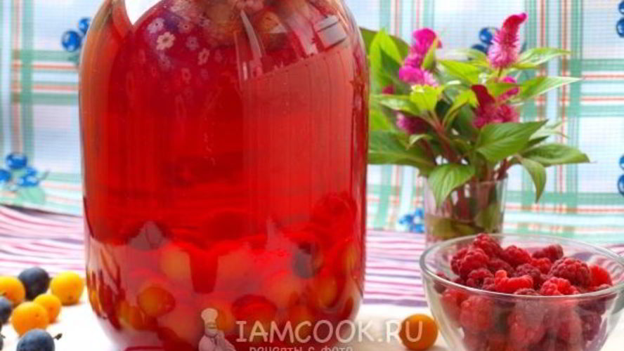 Рецепт компота из терна, алычи и малины на зиму
