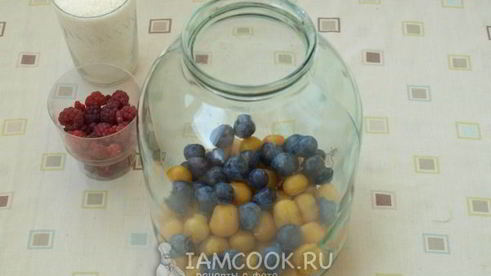 компот из терна, алычи и малины на зиму