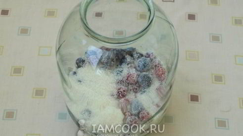 компот из терна, алычи и малины на зиму