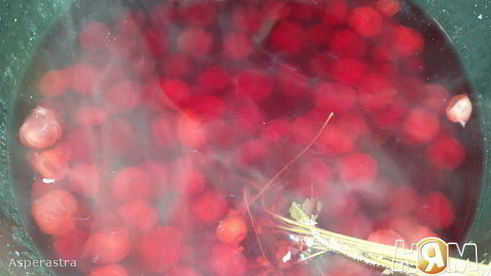 компот из вишни и крыжовника