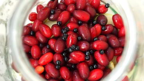 компот из яблок, кизила и бузины