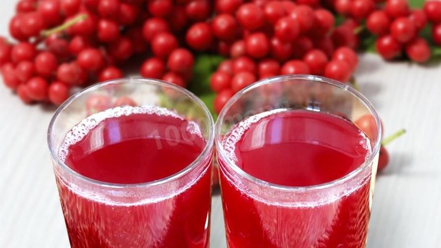 Рецепт лимонника компот