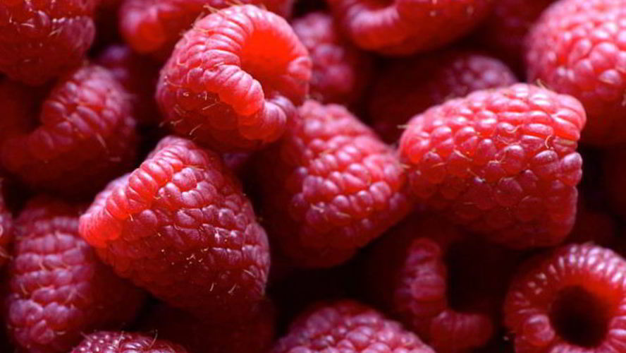 Рецепт малинового компота