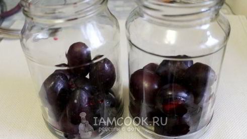 сливовый компот с косточками на зиму