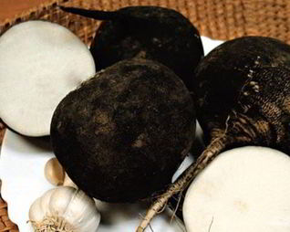 Квашеная редька