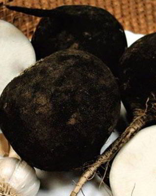 Квашеная редька