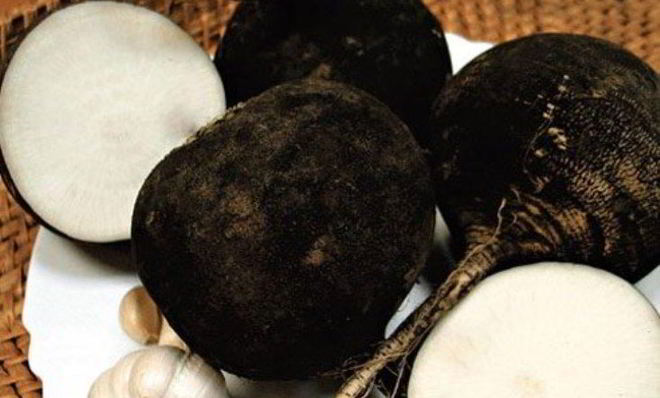 Квашеная редька