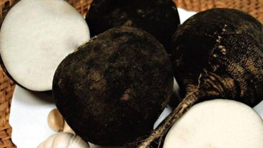 Рецепт квашеной редьки