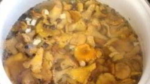 лисички маринованные соленые