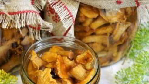 лисички маринованные соленые