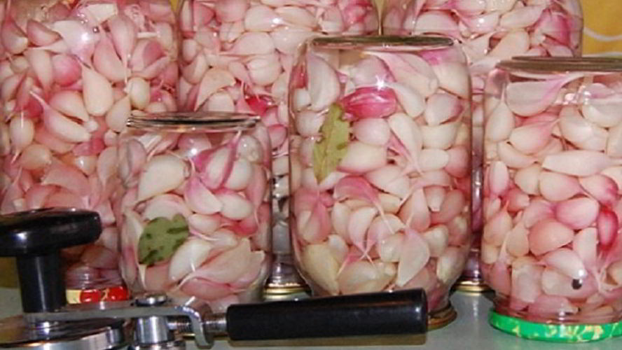 Рецепт маринованного чеснока