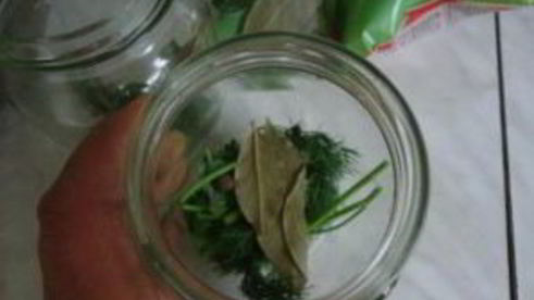 маринованный репчатый лук на зиму