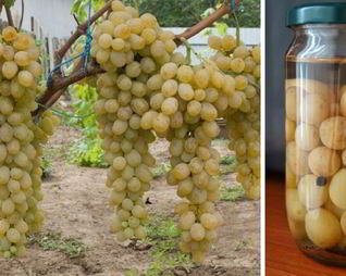 Маринованный виноград