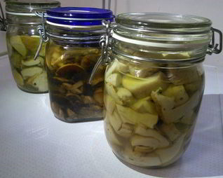 Маринованные грибы