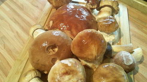 маринованные грибы