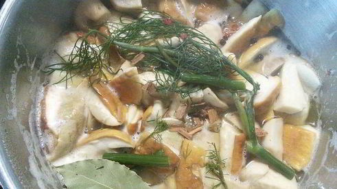 маринованные грибы