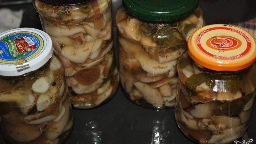Рецепт маринованных маслят в масле