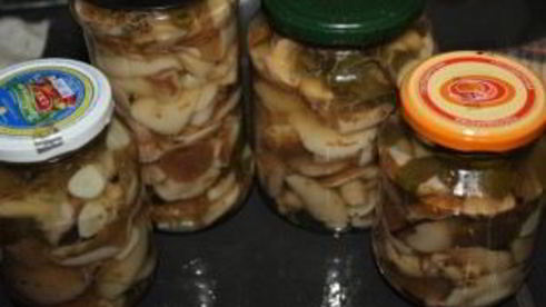 маринованные маслята в масле