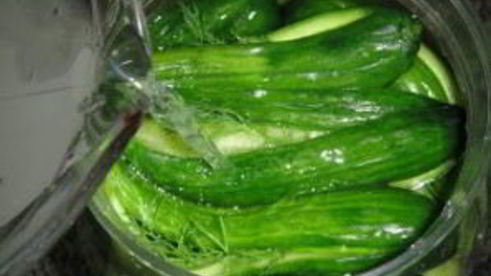 маринованные огурцы с укропом