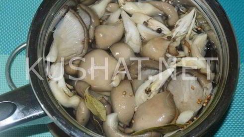 маринованные вешенки