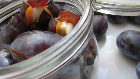 сливы, маринованные с чесноком