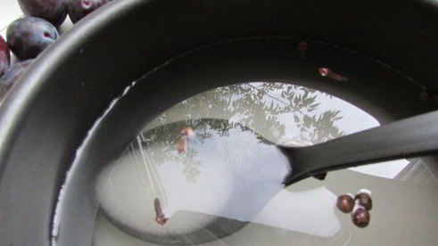 сливы, маринованные с чесноком