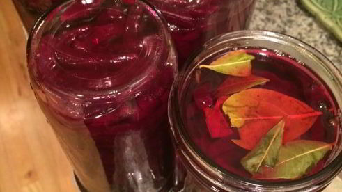 свекла маринованная