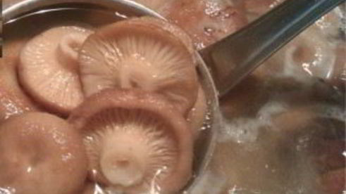 волнушки маринованные