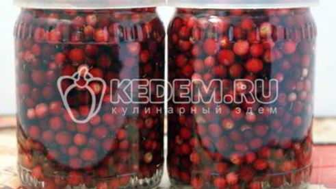 моченая брусника на зиму