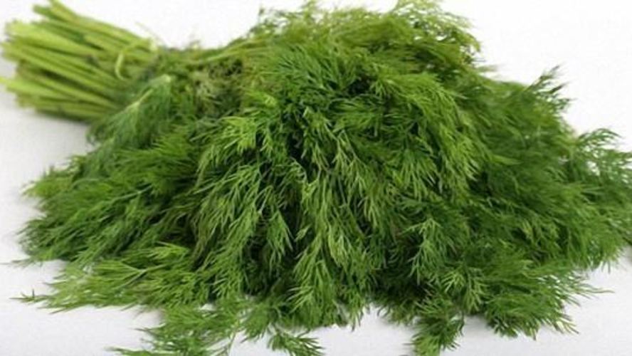 Рецепт мороженного укропа