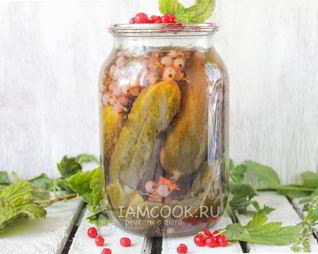Огурцы с красной смородиной на зиму