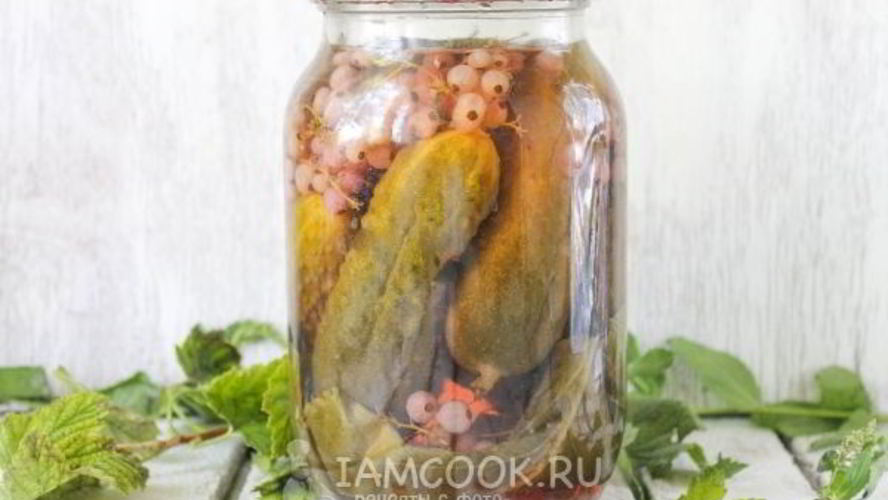 Рецепт огурцов с красной смородиной на зиму