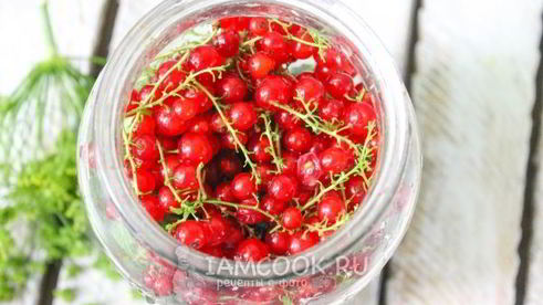 огурцы с красной смородиной на зиму