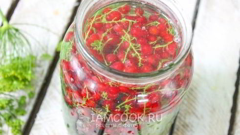 огурцы с красной смородиной на зиму