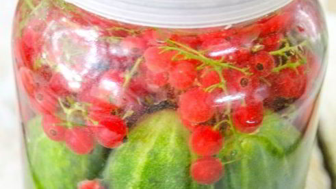 огурцы с красной смородиной на зиму