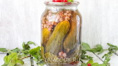 огурцы с красной смородиной на зиму