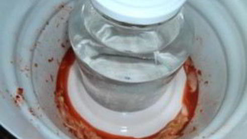 пекинская капуста на зиму