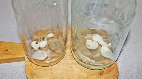 помидоры в желе с желатином со стерилизацией