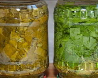 Щавель на зиму в банках