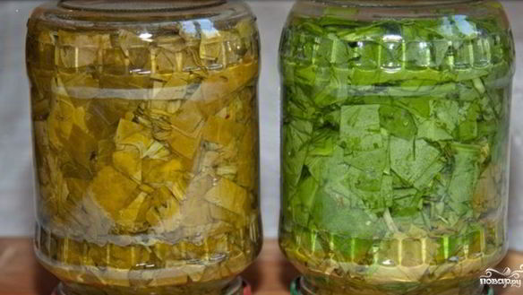 Рецепт Щавеля на зиму в банках